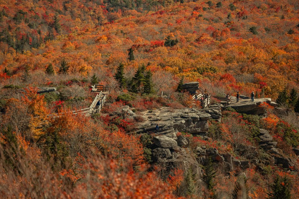 Grandfather Mountain